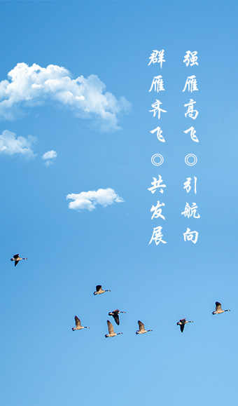 發展曆程